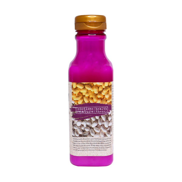  شامپو موی خشک حاوی پروتئین ابریشم هلس تئوری 385 میلی لیتر