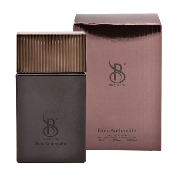  عطر جیبی مردانه برندینی مدل Noir Anthracit حجم 25 میلی لیتر