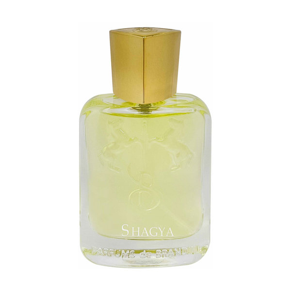  عطر جیبی مردانه برندینی مدل Shagya حجم 33 میلی لیتر