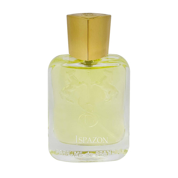  عطر جیبی مردانه برندینی مدل Ispazon حجم 33 میلی لیتر