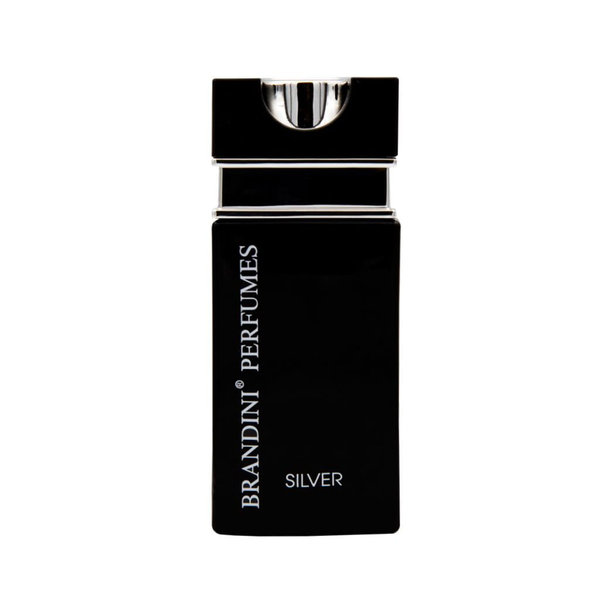  عطر جیبی مردانه Silver برندینی 25 میلی لیتر